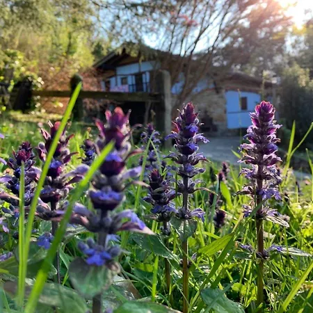 Precioso Caserio Con Jardin * Bakio