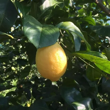 Precioso Caserio Con Jardin Διαμέρισμα Bakio